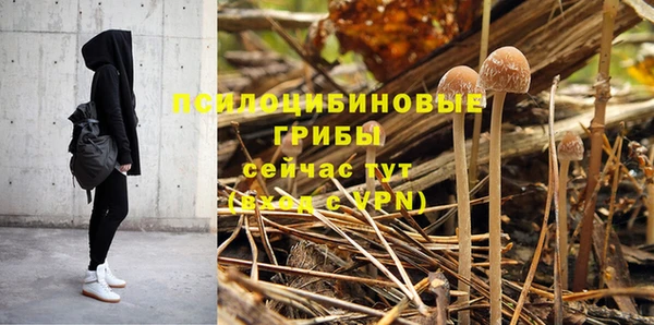 первитин Верхний Тагил