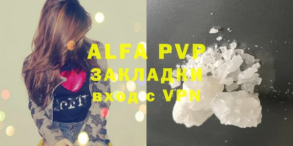 спиды Верея