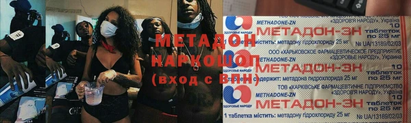 шишки Бородино