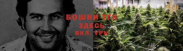 спиды Верея