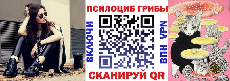 где можно купить наркотик  Волчанск  Псилоцибиновые грибы GOLDEN TEACHER 